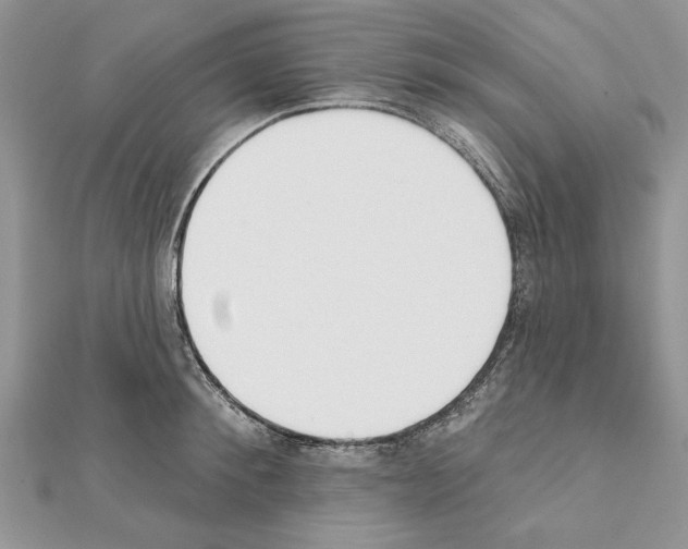 X0000111610900200908281048
