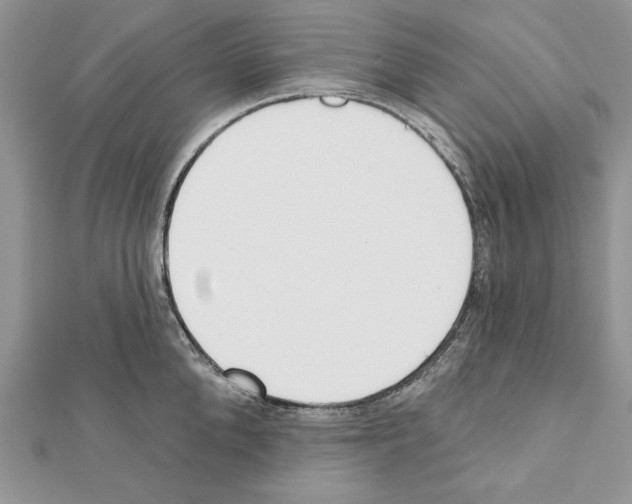 X0000111610904200908281048