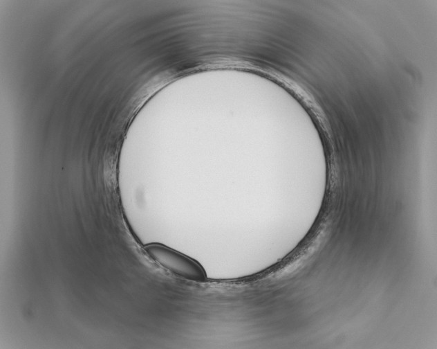 X0000111610905200908281048