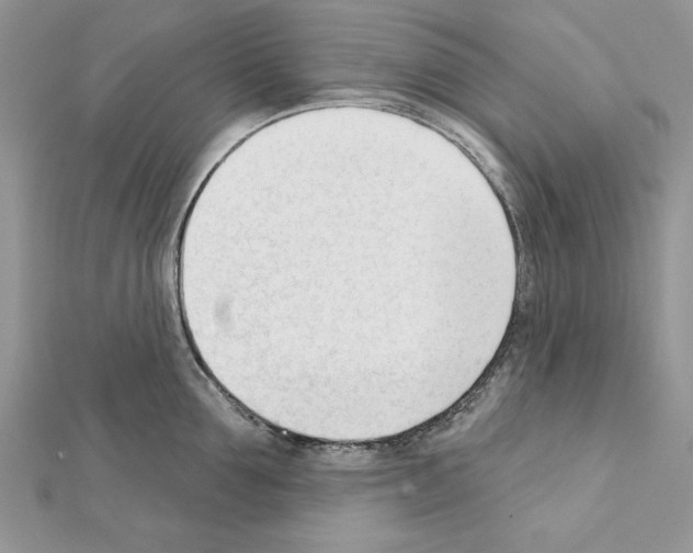 X0000111610907200908281048