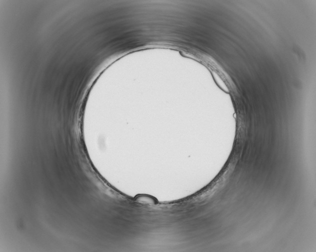 X0000111610908200908281048