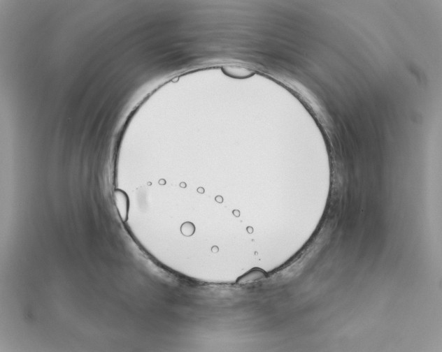 X0000111610910200908281048