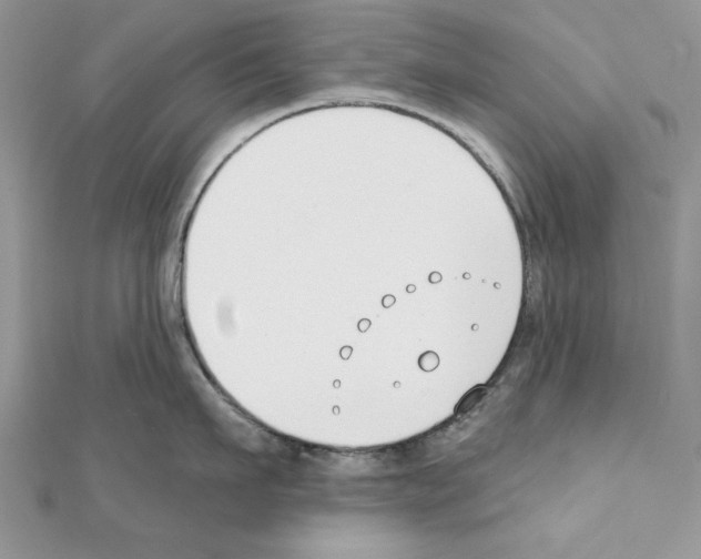 X0000111610911200908281048