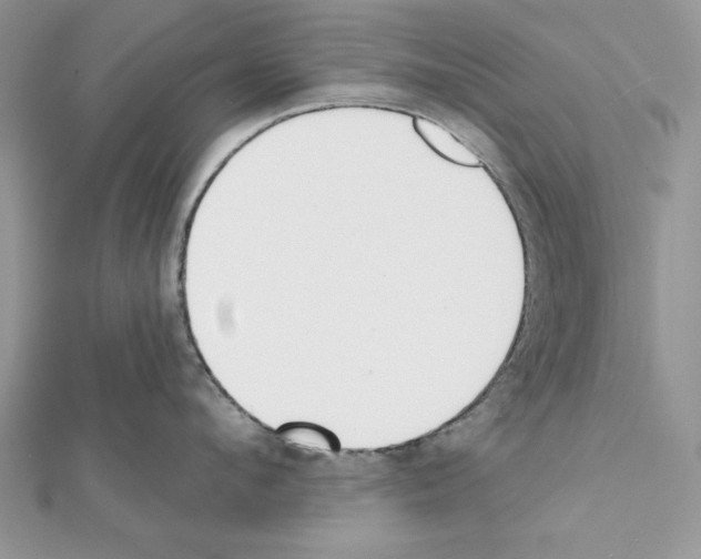 X0000111610912200908281048