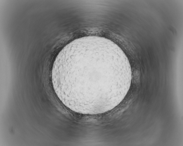 X0000111610913200908281047