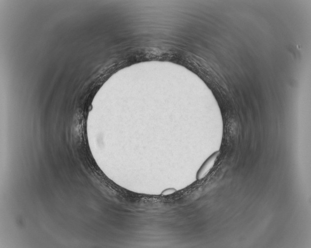 X0000111610914200908281047