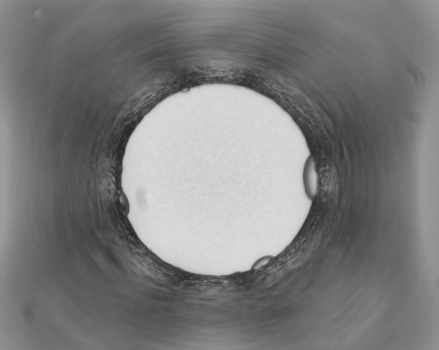 X0000111610916200908281047