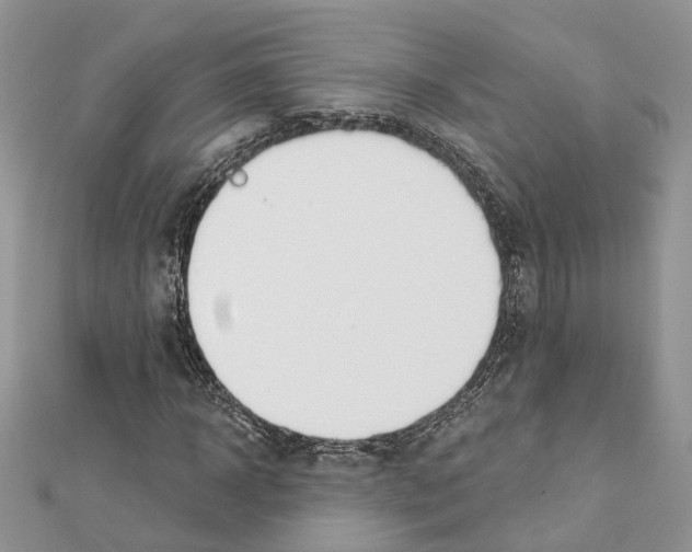 X0000111610918200908281047