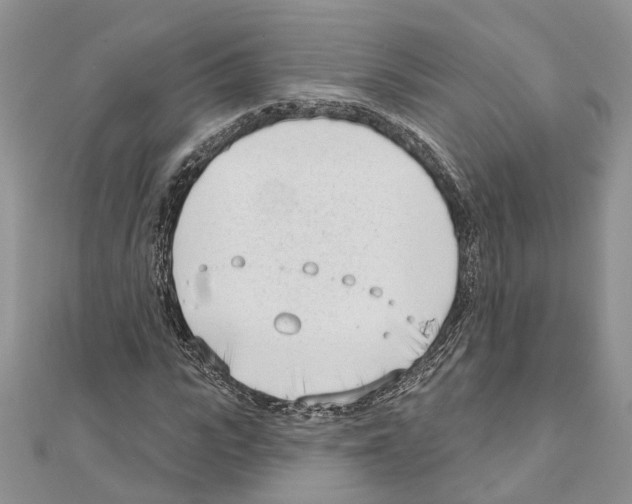 X0000111610919200908281047