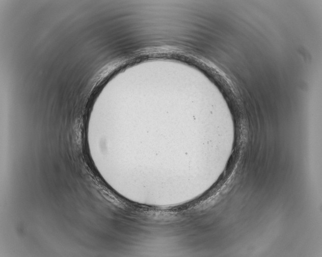 X0000111610921200908281047