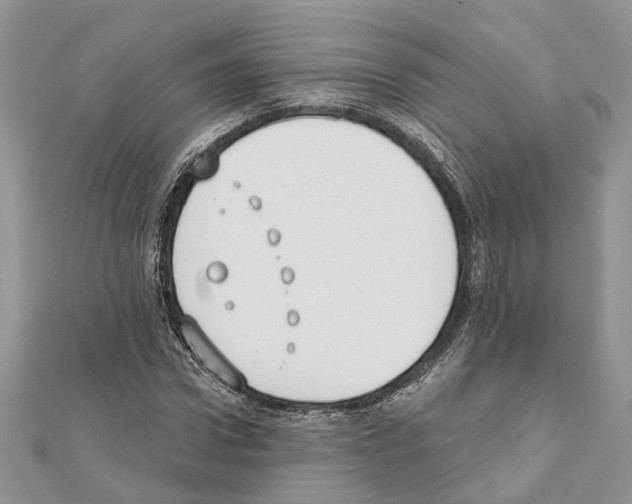 X0000111610922200908281047