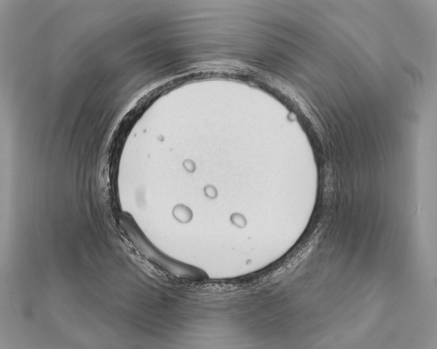 X0000111610923200908281047