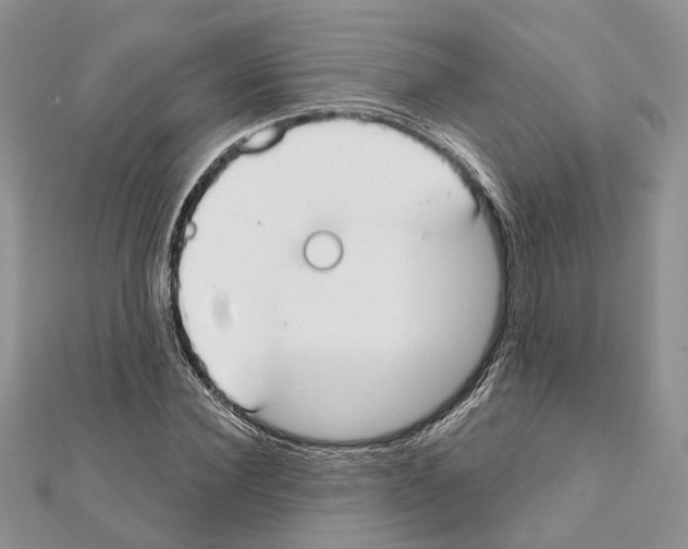 X0000111610924200908281047