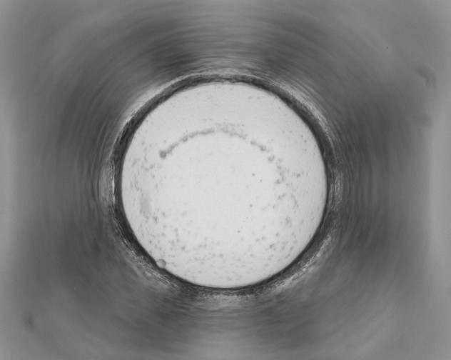 X0000111610925200908281047