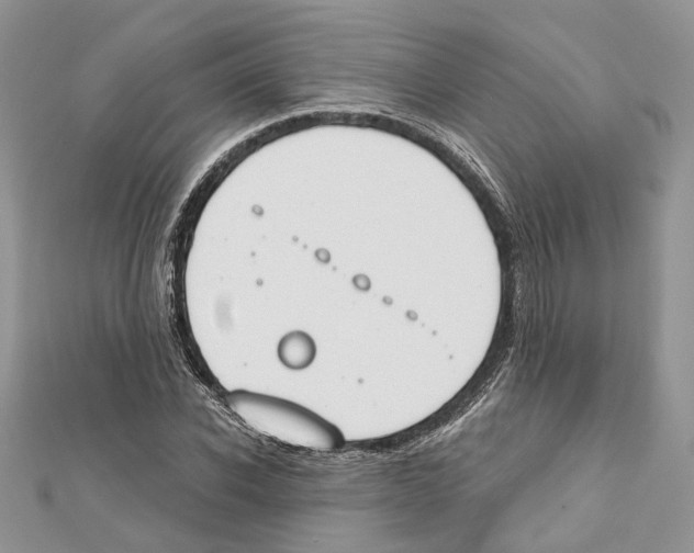 X0000111610926200908281047