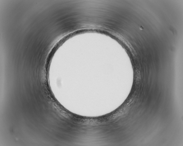 X0000111610927200908281047