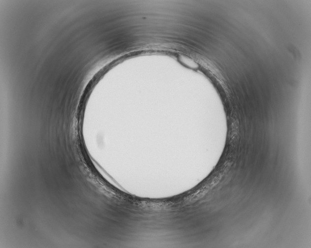 X0000111610928200908281047