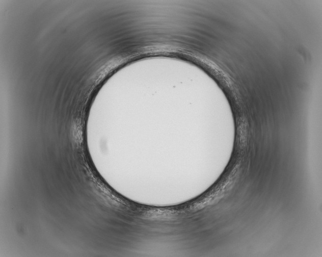X0000111610929200908281047