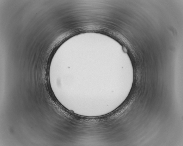 X0000111610930200908281047