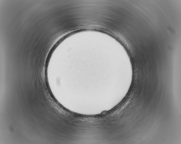 X0000111610932200908281047