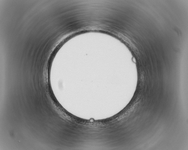 X0000111610934200908281047
