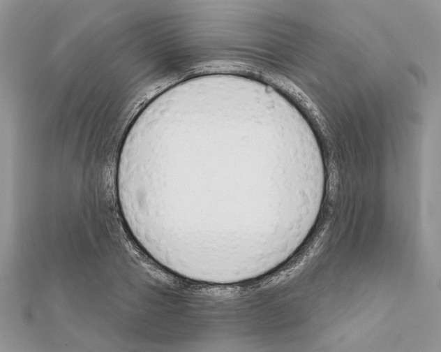X0000111610937200908281047