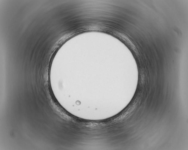 X0000111610938200908281047