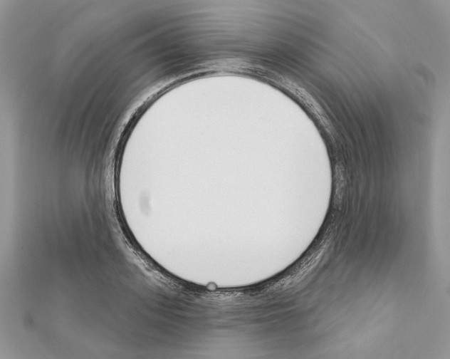 X0000111610939200908281047