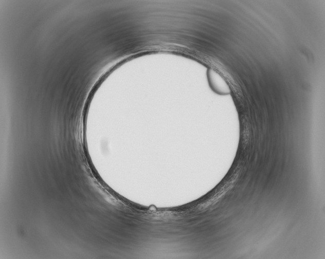 X0000111610940200908281048