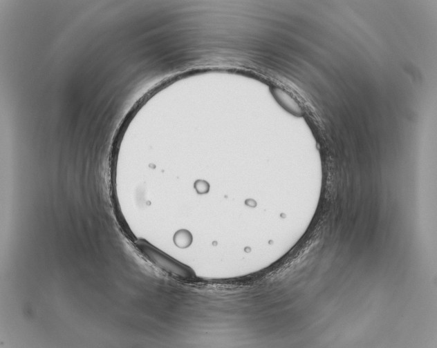 X0000111610942200908281048