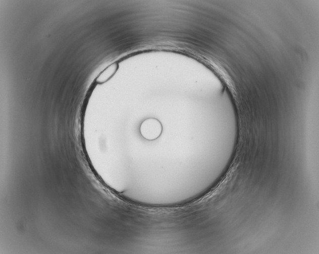 X0000111610944200908281048