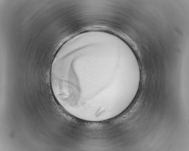 X0000111610945200908281048