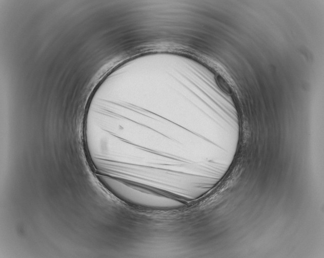 X0000111610946200908281048