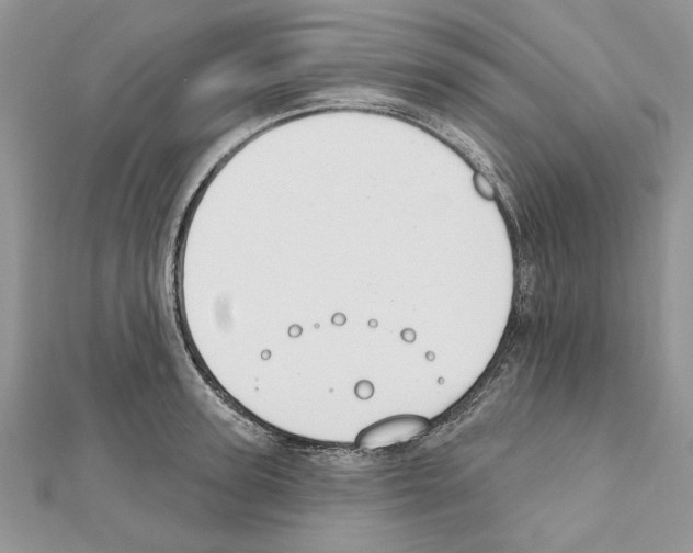 X0000111610947200908281048