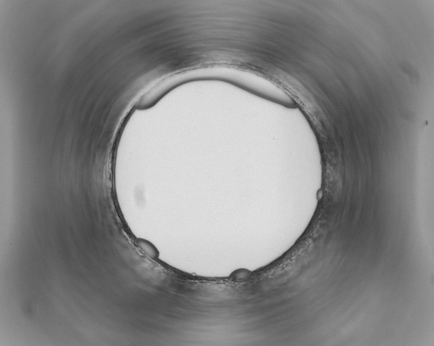 X0000111610948200908281048