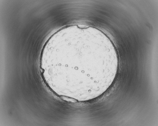 X0000111610949200908281048