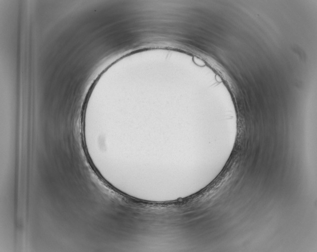 X0000111610951200908281048