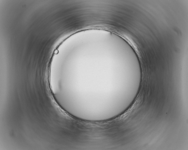 X0000111610952200908281048