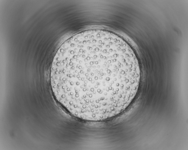 X0000111610953200908281048