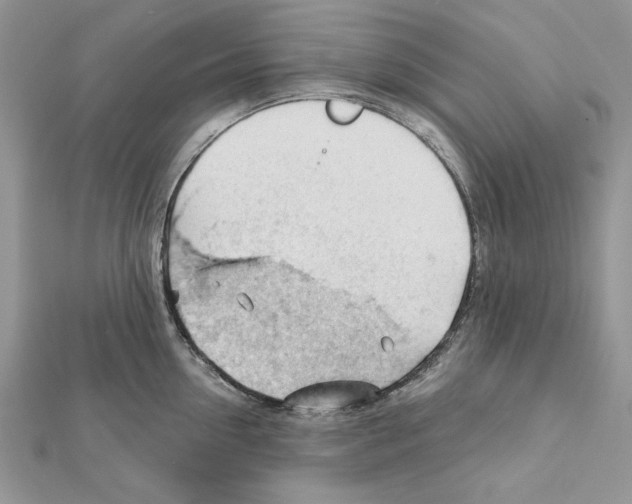 X0000111610954200908281048