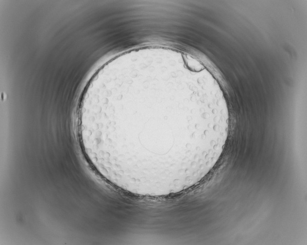 X0000111610955200908281048