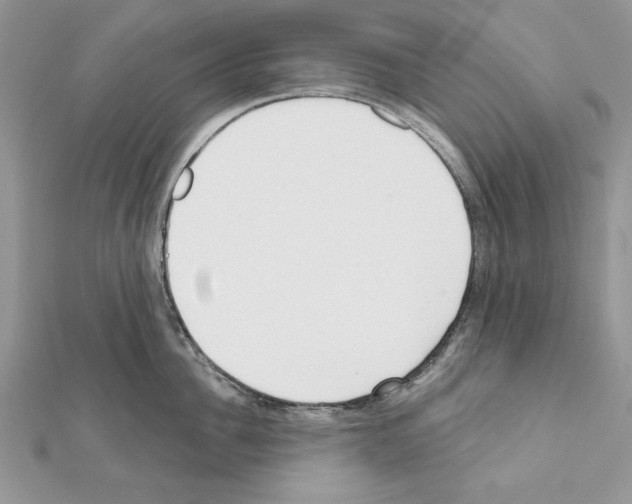 X0000111610956200908281048