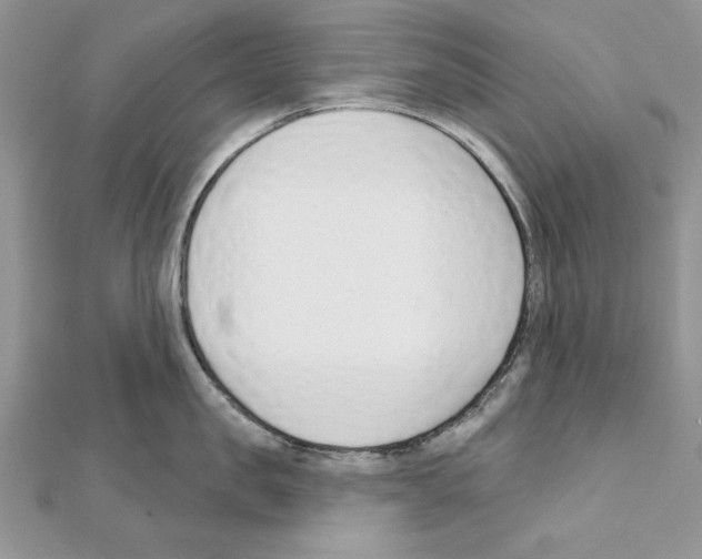 X0000111610957200908281048