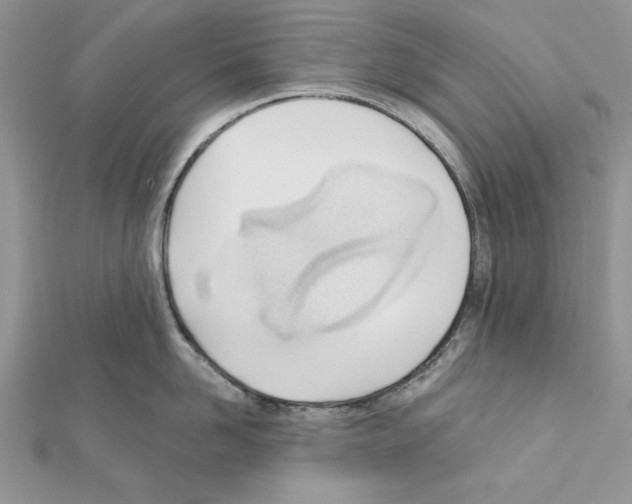X0000111610958200908281048