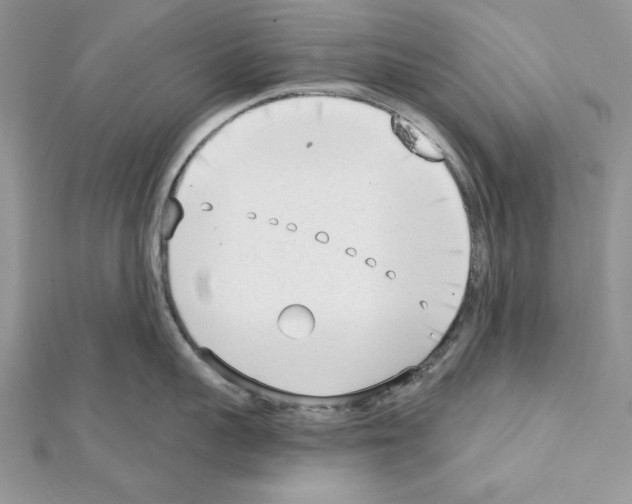 X0000111610959200908281048