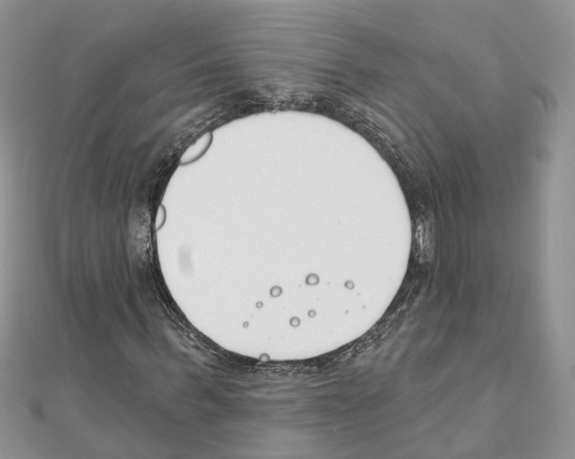 X0000111610963200908281047