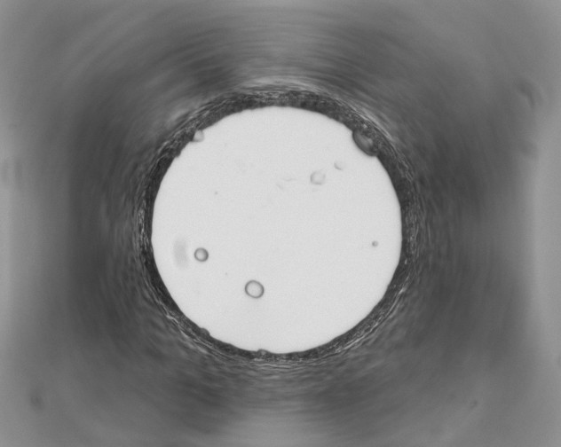 X0000111610965200908281047