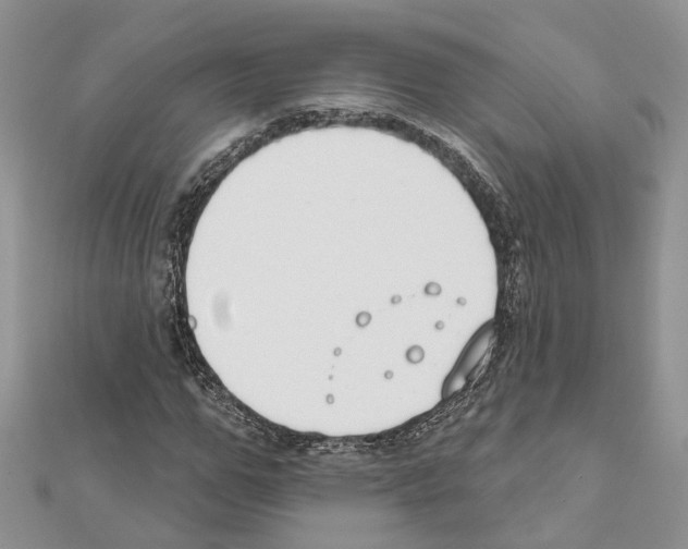 X0000111610967200908281047