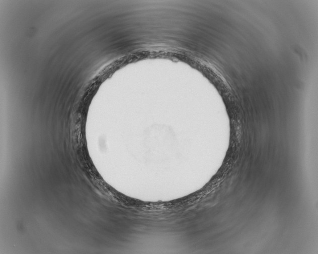 X0000111610968200908281047