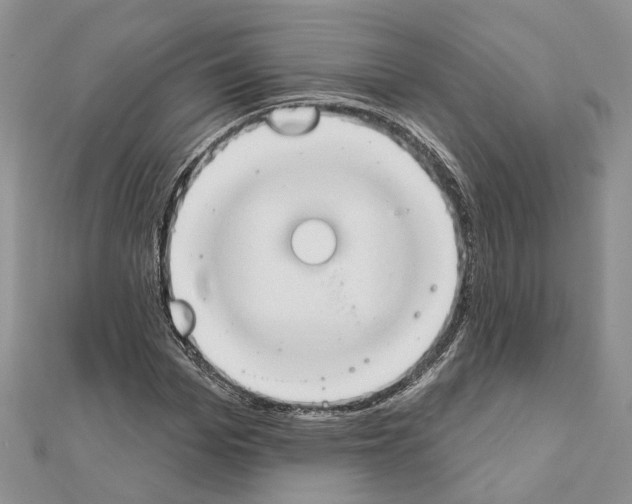 X0000111610969200908281047
